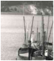 cc3471_0.jpg