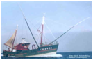 ::photos_1:Amazone1000_0.jpg