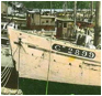 ::photos_1:cassoar_0.jpg