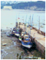 SOFTWARE: ImageGear Version:  7.01.003
DATE: Wed Dec 25 13:25:17 2002
OWNER: 1996-98 AccuSoft Inc., All rights reserved
