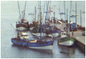 SOFTWARE: ImageGear Version:  7.01.003
DATE: Wed Dec 25 12:42:36 2002
OWNER: 1996-98 AccuSoft Inc., All rights reserved
