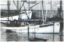 ::photos_1:foederisarca_0.jpg
