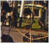 :::Desktop:HenriMichel_0.jpg
