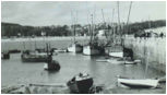 Description : :::Desktop:photo1952_0.jpg