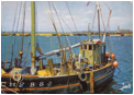 :photos_1:Labous_Mor_0.jpg