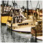 :::Desktop:Marcel_Cerdan_1960_0.jpg
