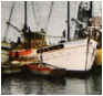 :::Desktop:Blanche_1960_0.jpg