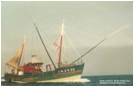 :photos_1:Amazone100_0.jpg